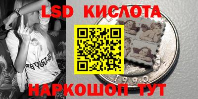 индика Партизанск