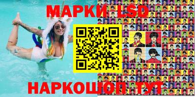 индика Партизанск