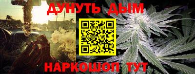 индика Партизанск