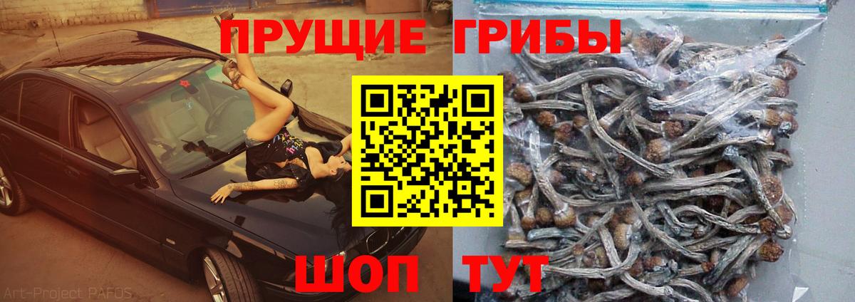 Саров  Галлюциногенные грибы ЛСД  Вход с VPN 